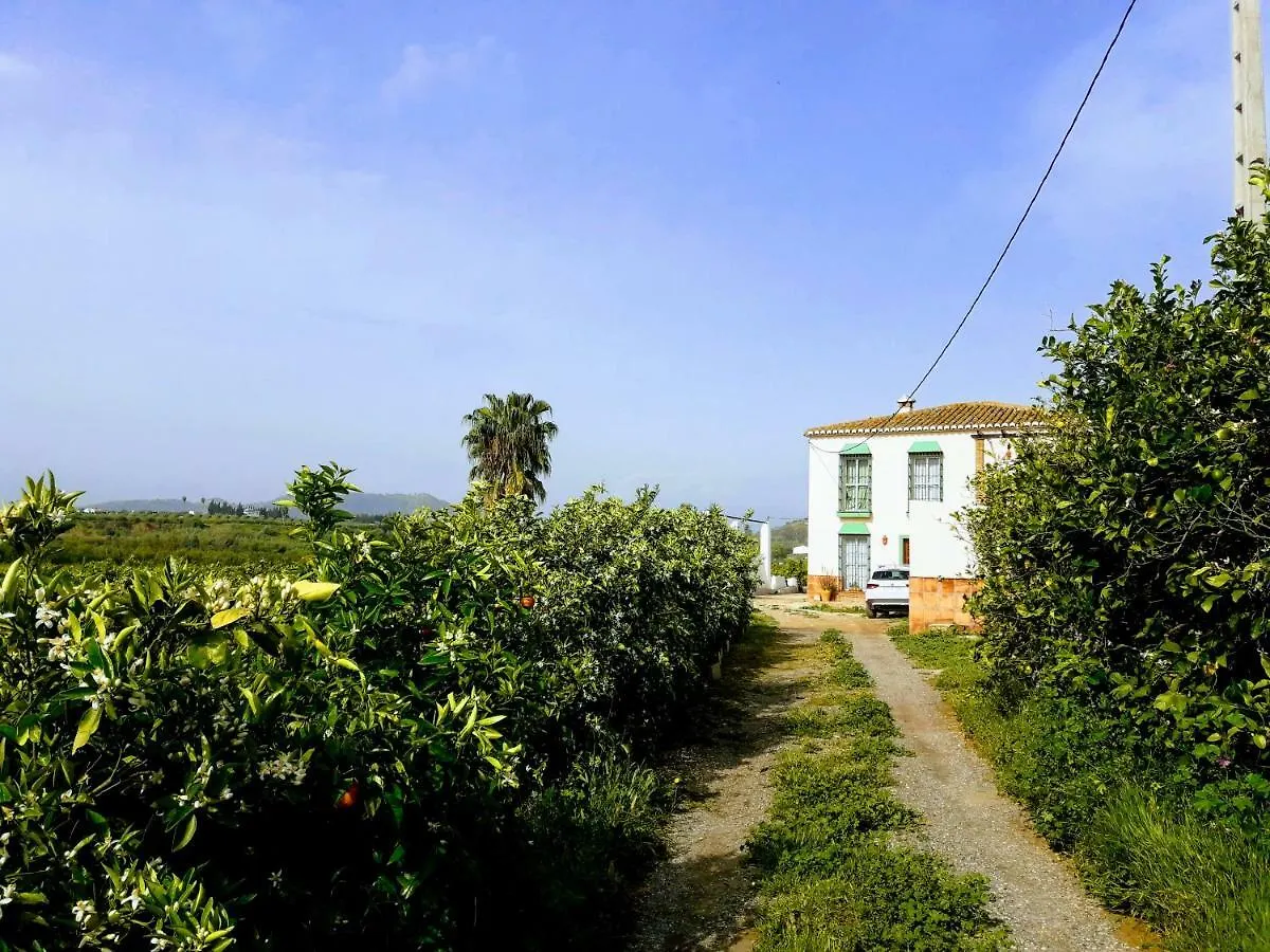 Casa rural la Estrella Pizarra